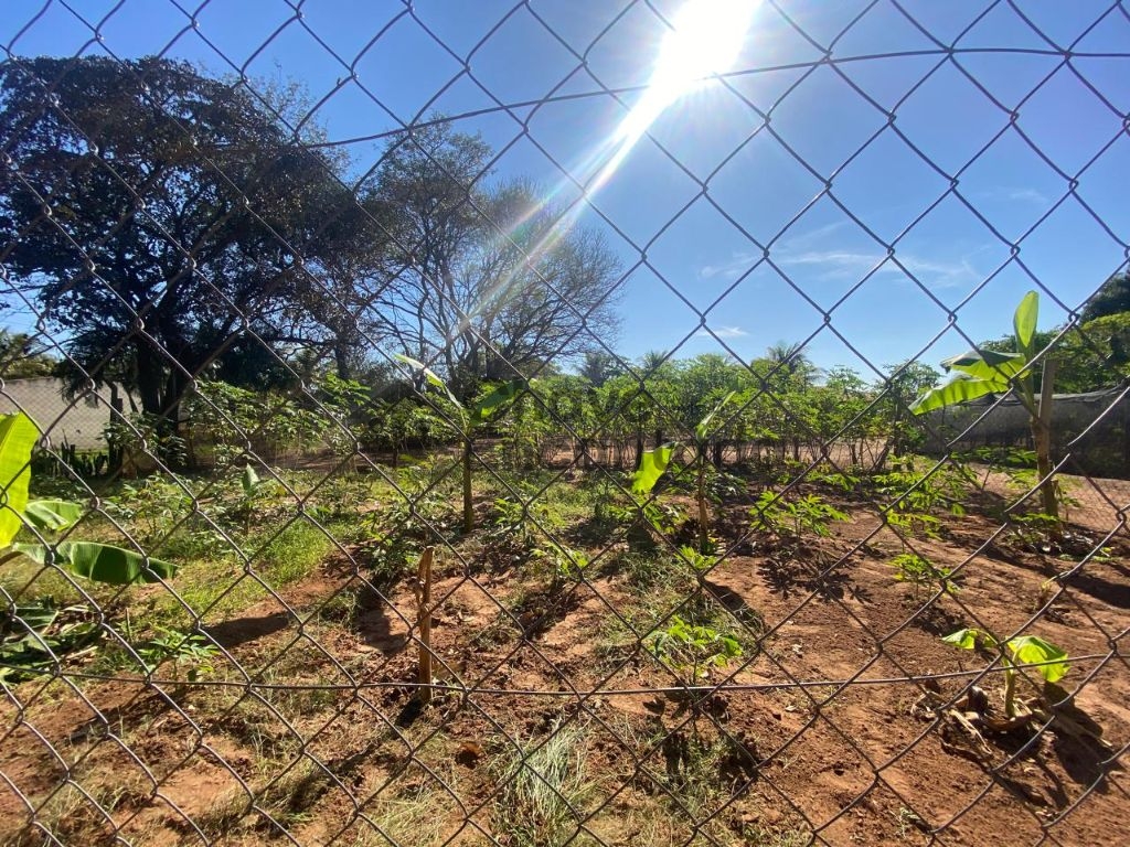 Venda de Rural / Chácara na cidade de Birigui