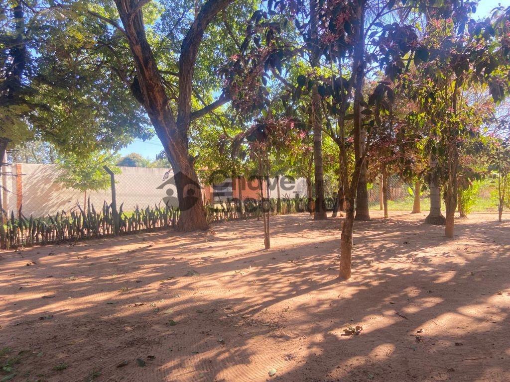 Venda de Rural / Chácara na cidade de Birigui