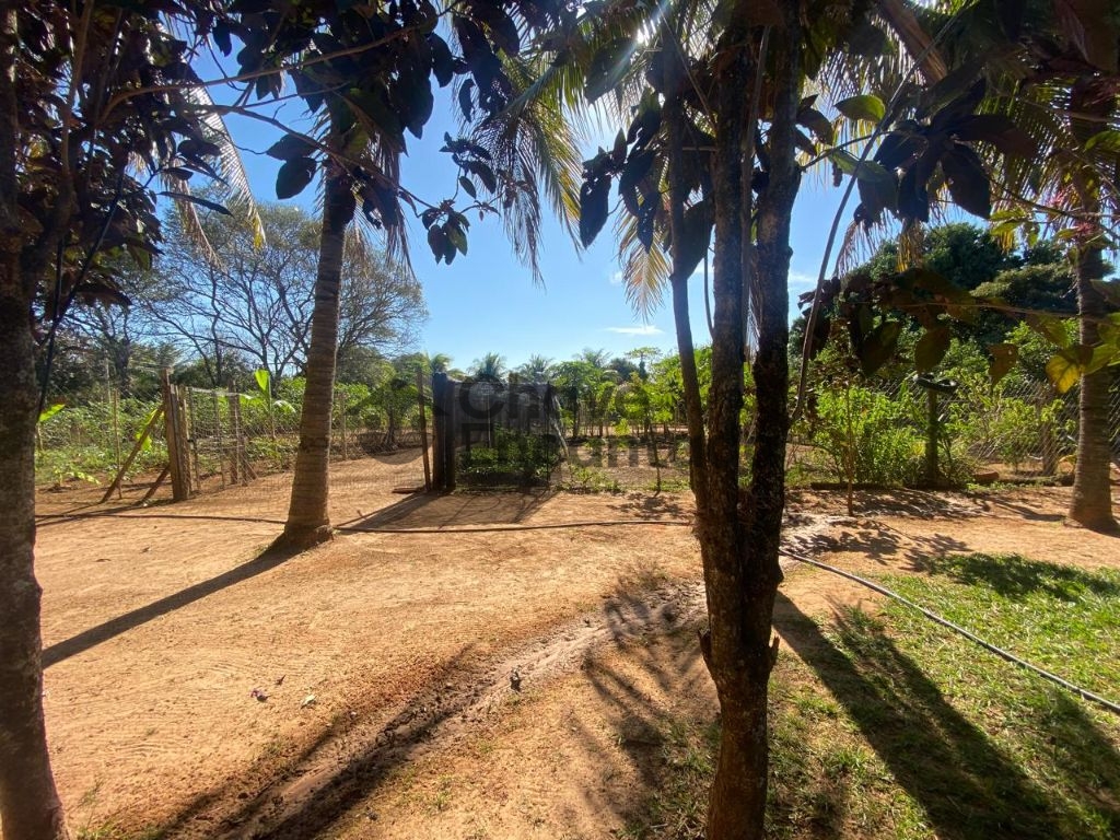 Venda de Rural / Chácara na cidade de Birigui