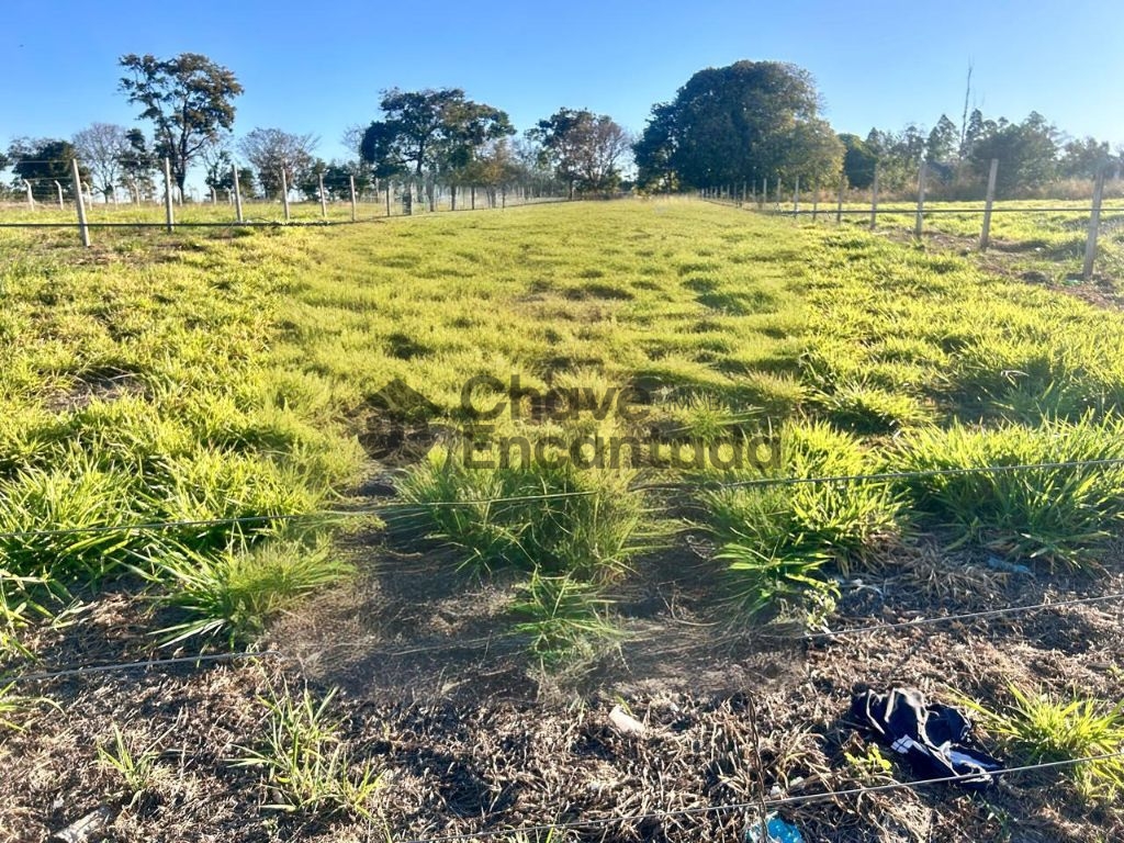 Venda de rural / chácara na cidade de penápolis