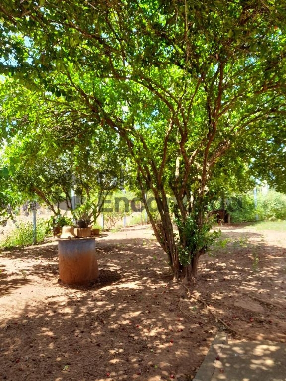 Venda de terreno / área na cidade de araçatuba