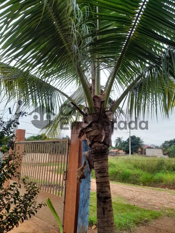 Venda de terreno / área na cidade de araçatuba