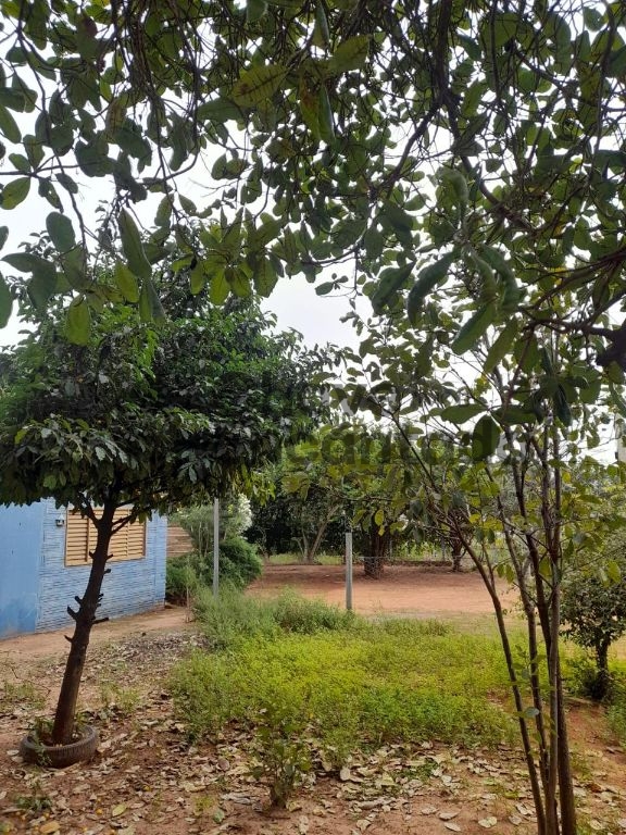 Venda de terreno / área na cidade de araçatuba