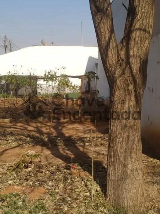 Terreno de esquina no residencial simoes