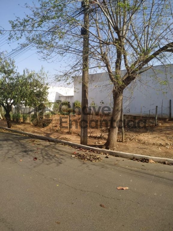 Terreno de esquina no residencial simoes