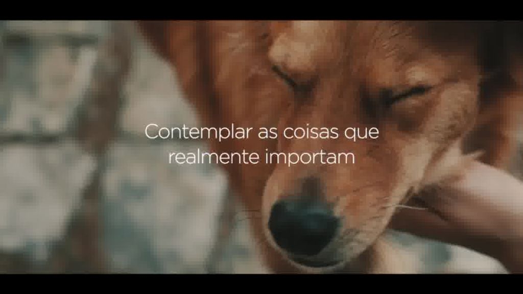 Terreno, 250 m² - Foto 23