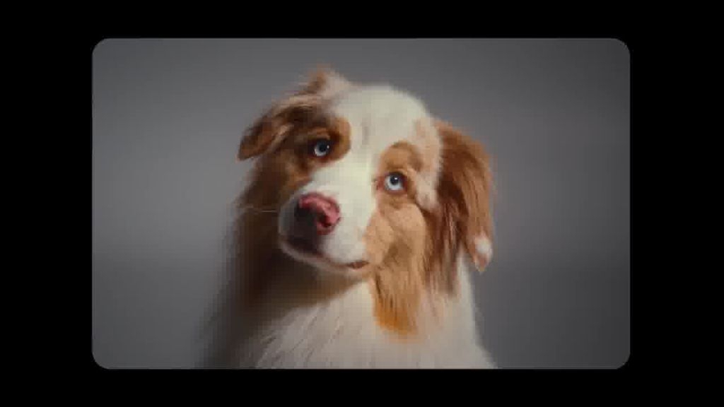 Terreno, 250 m² - Foto 6