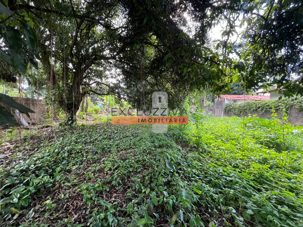 Terreno, 1856 m² - Foto 26