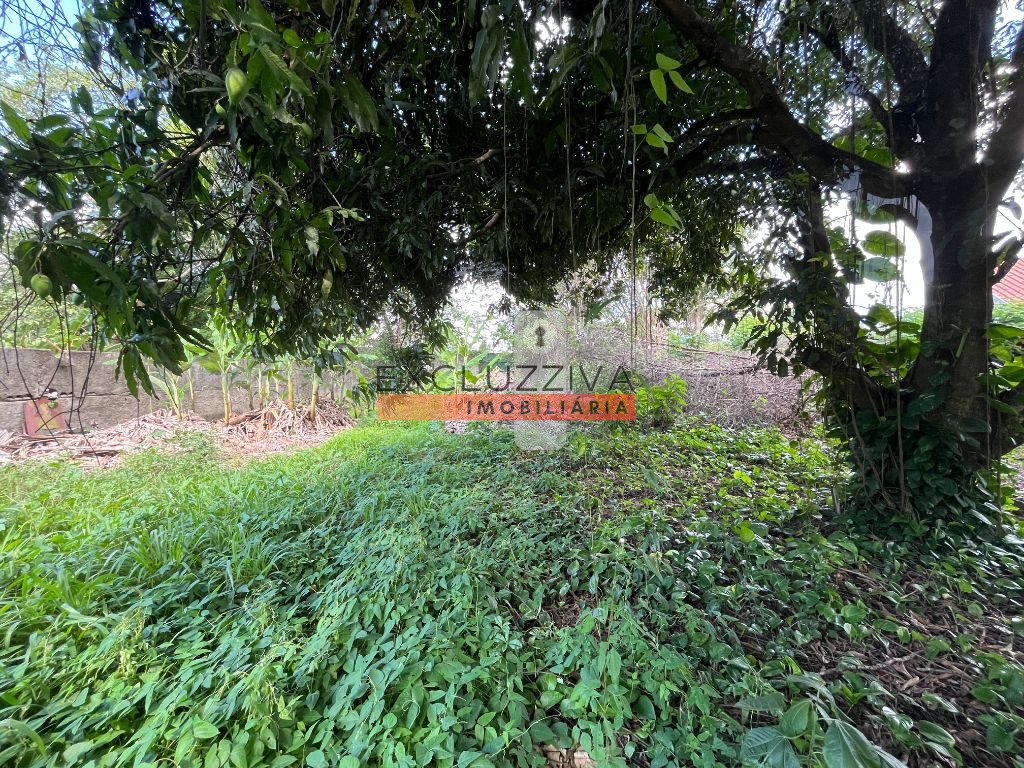 Terreno, 1856 m² - Foto 33