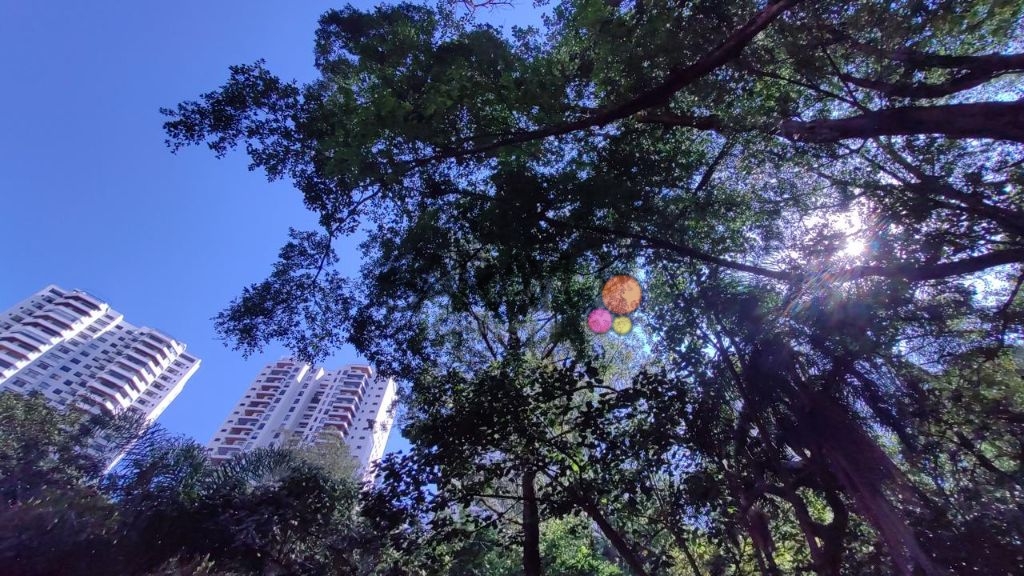 Apartamento para locação Reserva Casa Grande