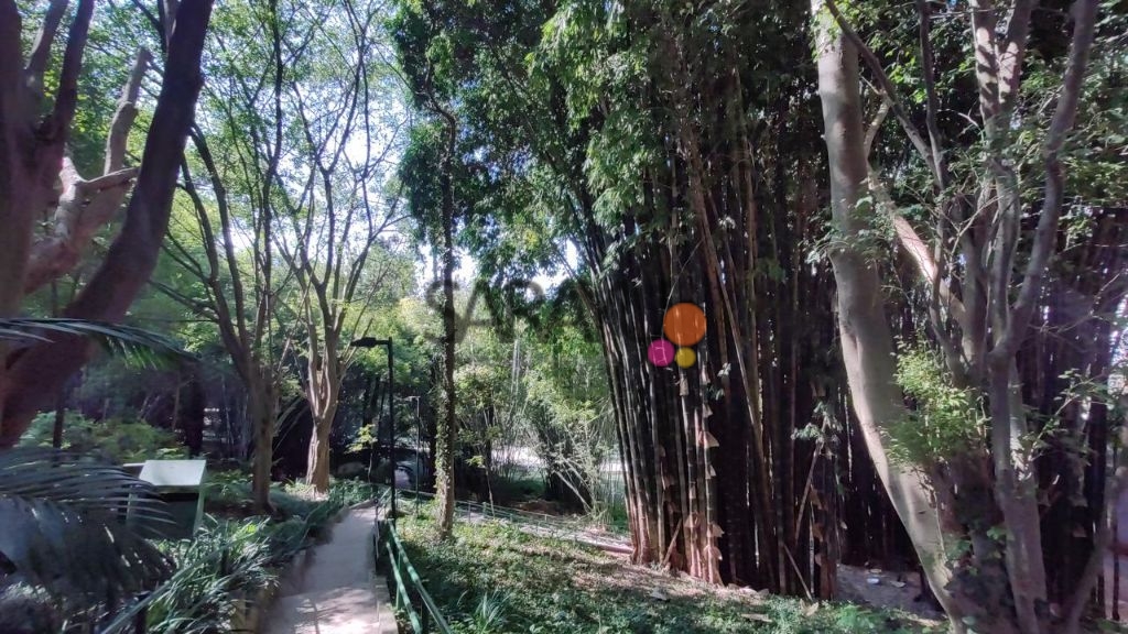 Apartamento para locação Reserva Casa Grande