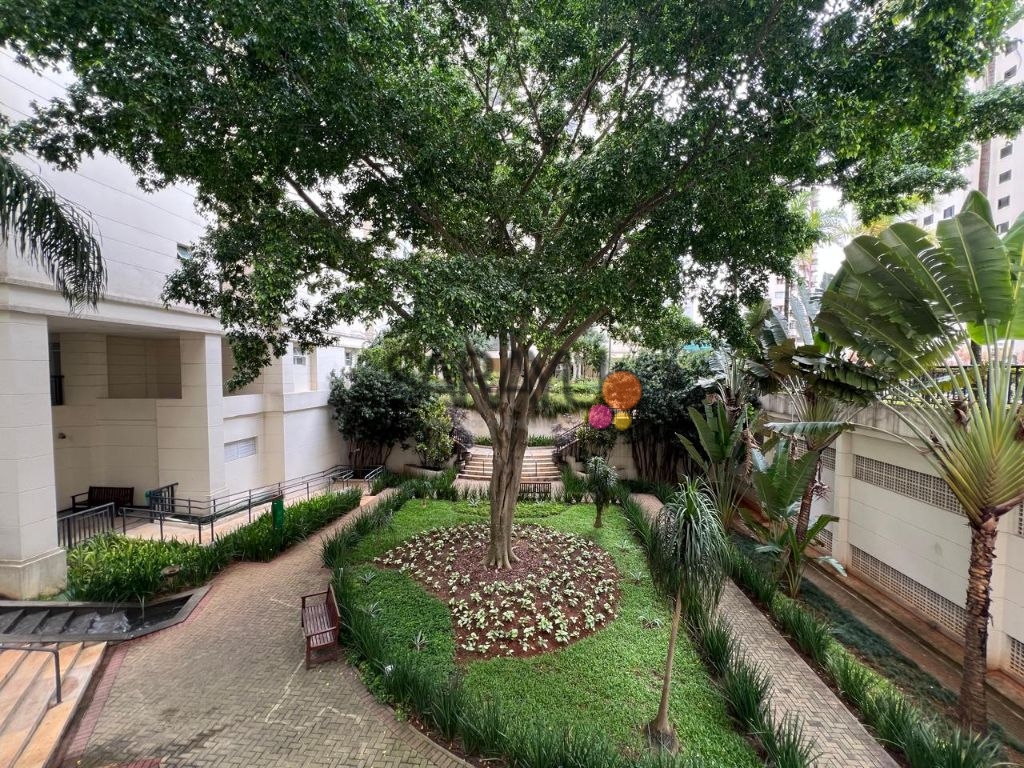 Apartamento de 3 dormitórios na Vila Mascote, São Paulo