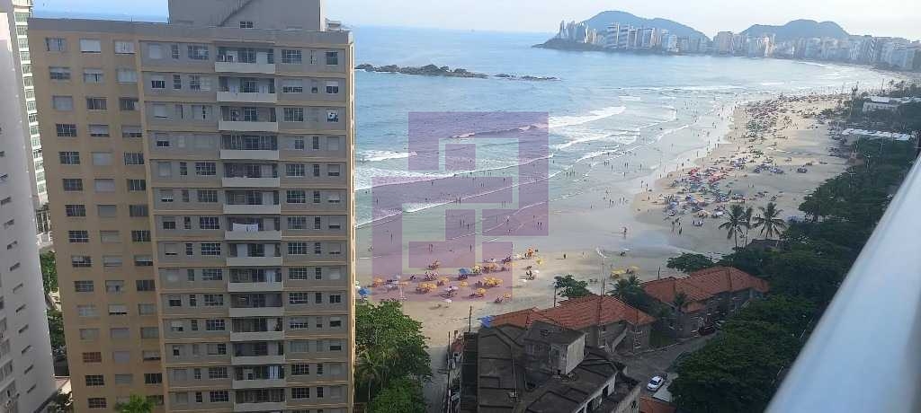 Pitangueiras!!!