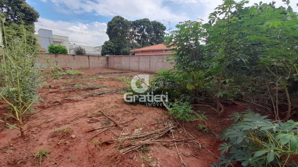 Terreno jd. Aclimação todo murado c/ 12 metros de frente