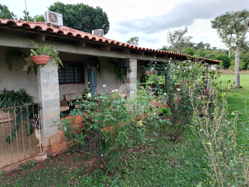 Chacara atrás da lupo