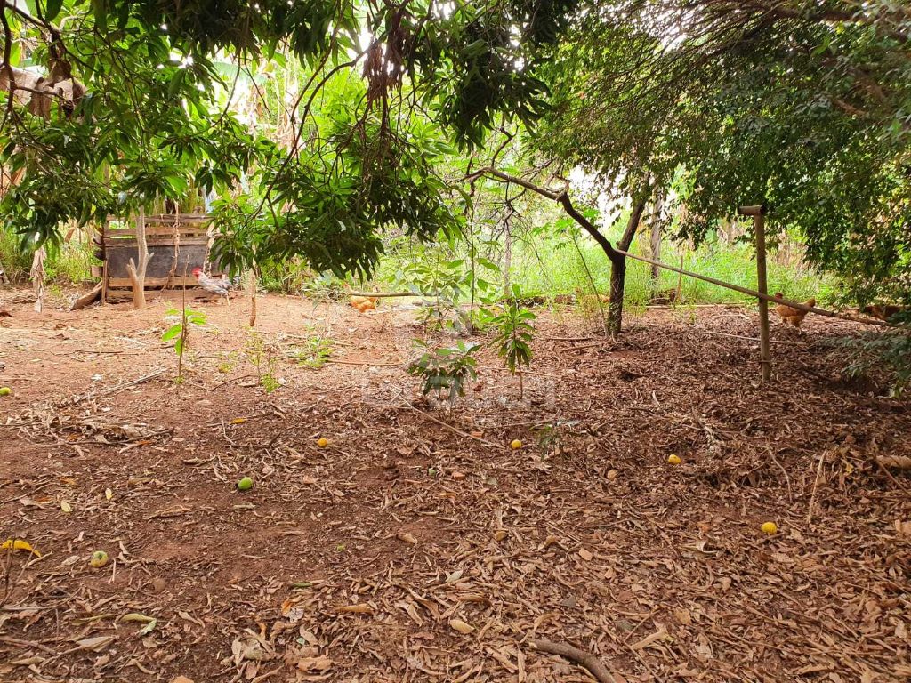 Terrreno à venda na rua goiás 1.860 m² murado e com fruteira