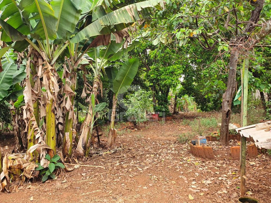 Terrreno à venda na rua goiás 1.860 m² murado e com fruteira