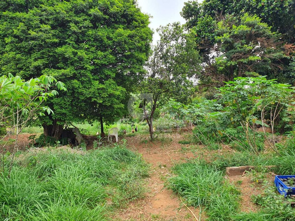 Terrreno à venda na rua goiás 1.860 m² murado e com fruteira