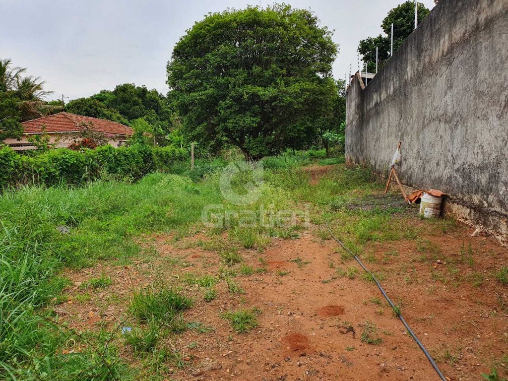 Terrreno à venda na rua goiás 1.860 m² murado e com fruteira