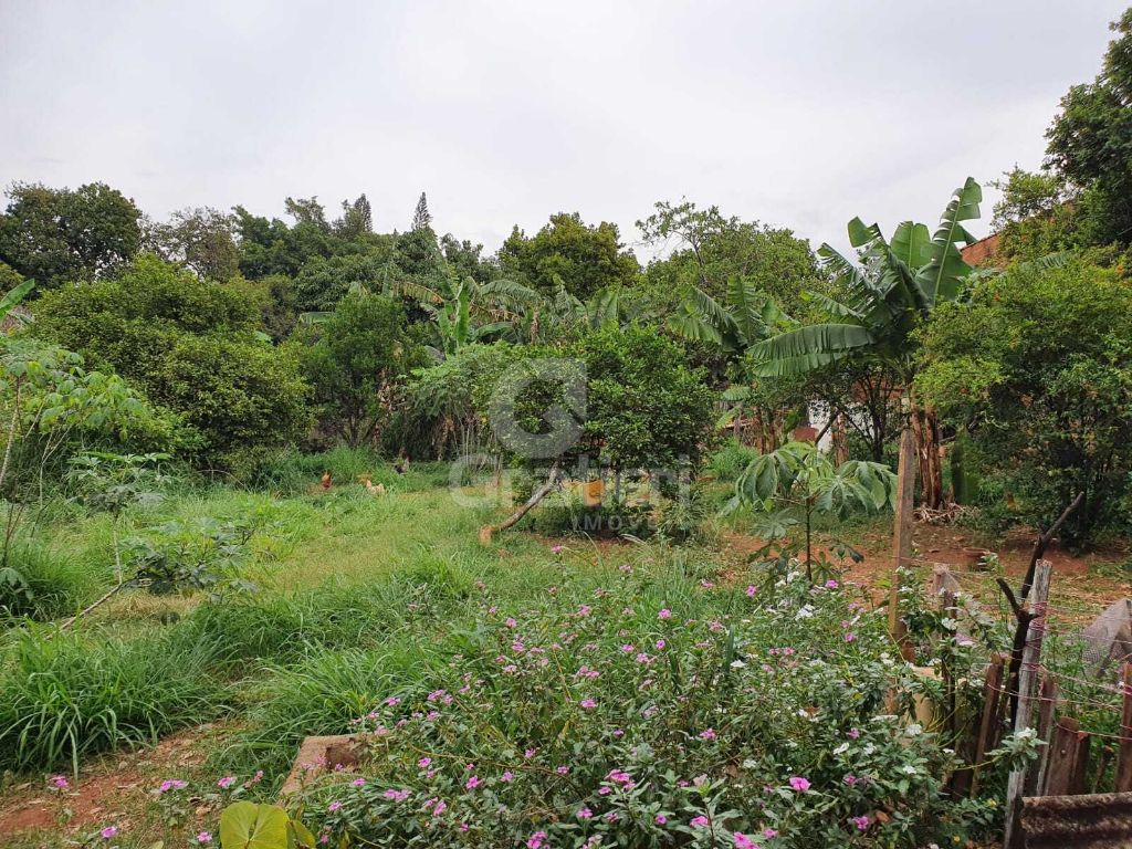 Terrreno à venda na rua goiás 1.860 m² murado e com fruteira