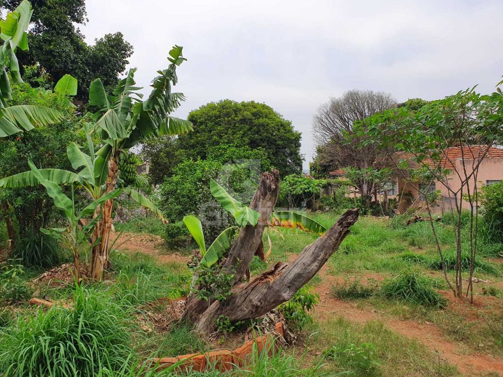 Terrreno à venda na rua goiás 1.860 m² murado e com fruteira