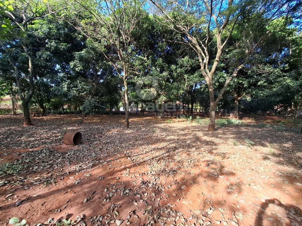 Chácara parque tropical
