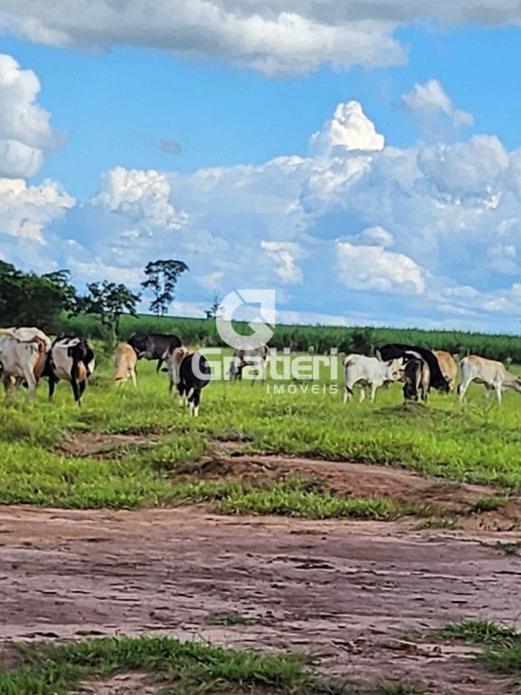 Área 32 mil m² perto do aeroporto araraquara