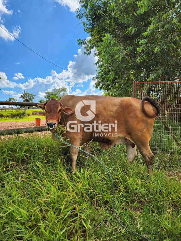 Área 32 mil m² perto do aeroporto araraquara