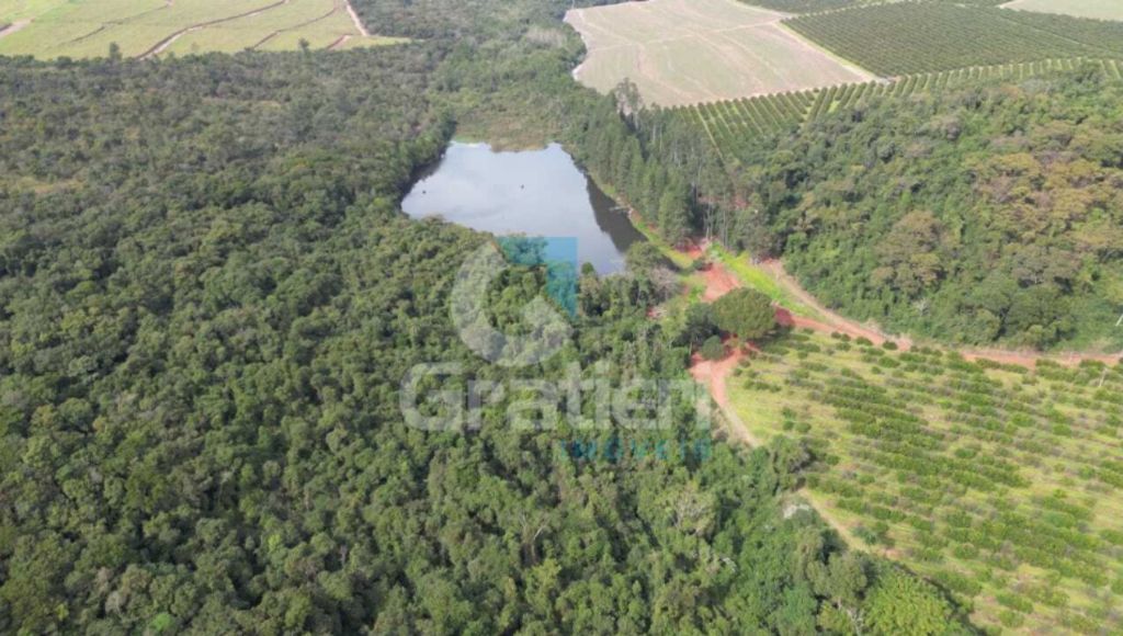 Fazenda 90 alq. À venda em araraquara/sp