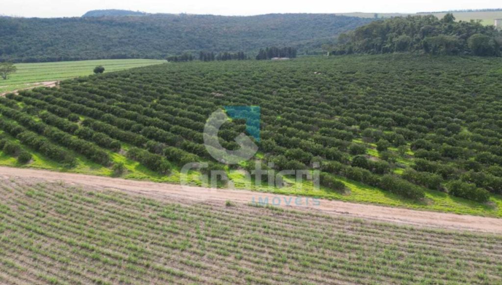 Fazenda 90 alq. À venda em araraquara/sp