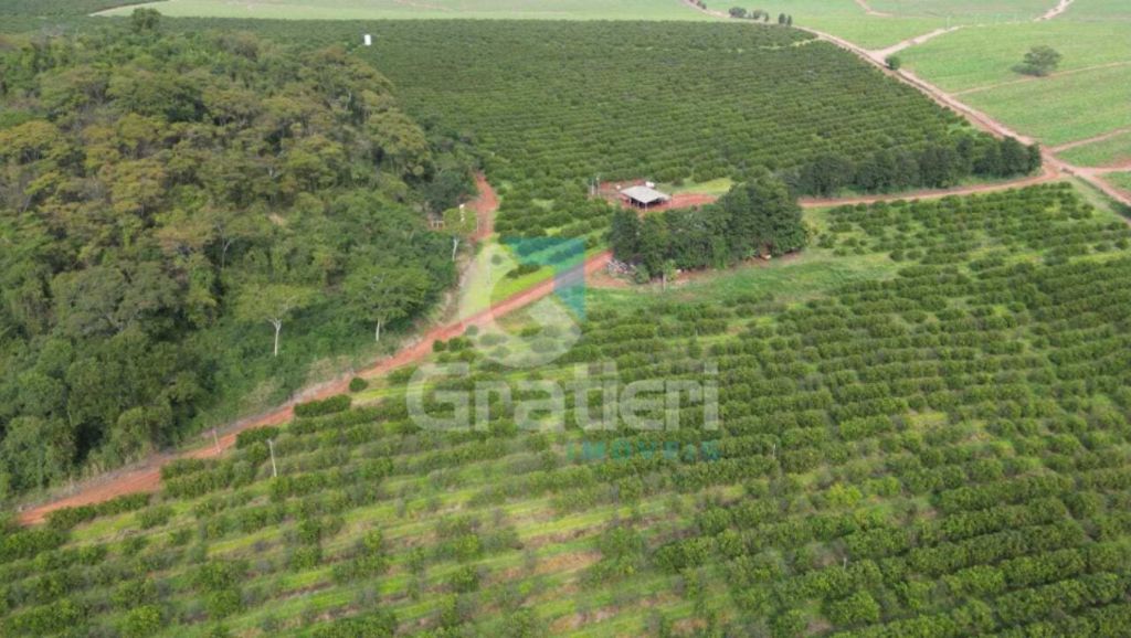 Fazenda 90 alq. À venda em araraquara/sp