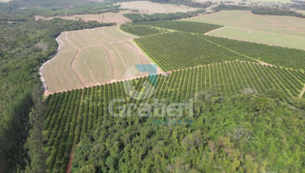 Fazenda 90 alq. À venda em araraquara/sp