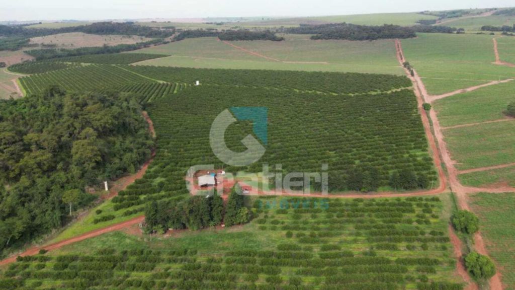 Fazenda 90 alq. À venda em araraquara/sp