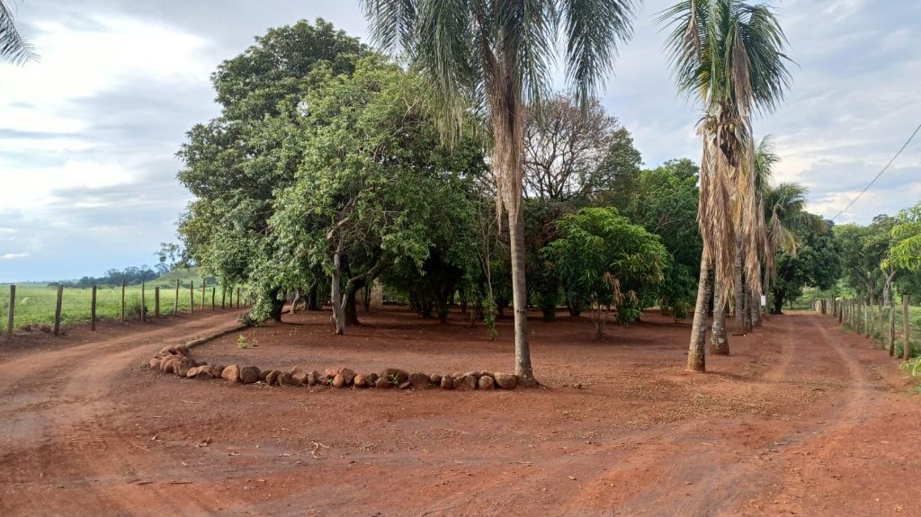 Sítio no bairro dos machados
