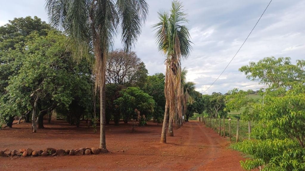 Sítio no bairro dos machados