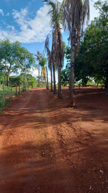 Sítio no bairro dos machados