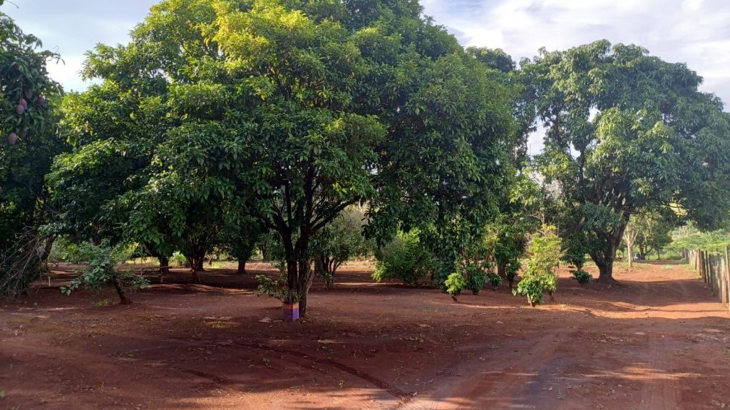Sítio no bairro dos machados