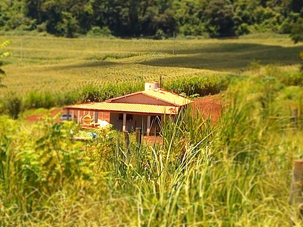 Sítio à Venda 13 Alqueires em São Carlos-SP - foto 18