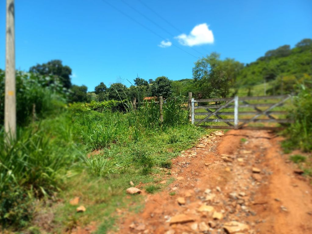 Sítio à Venda 13 Alqueires em São Carlos-SP - foto 26