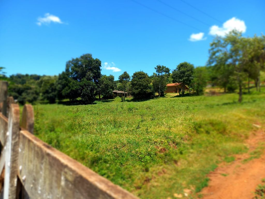 Sítio à venda – 13 alqueires em são carlos-sp