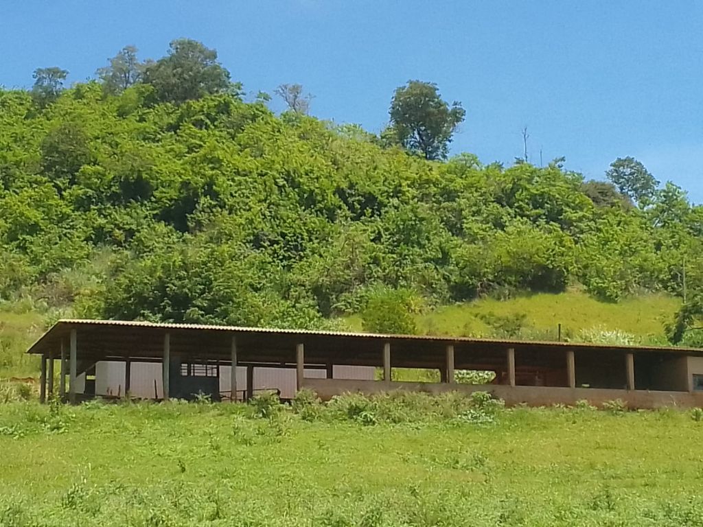 Sítio à Venda 13 Alqueires em São Carlos-SP - foto 19