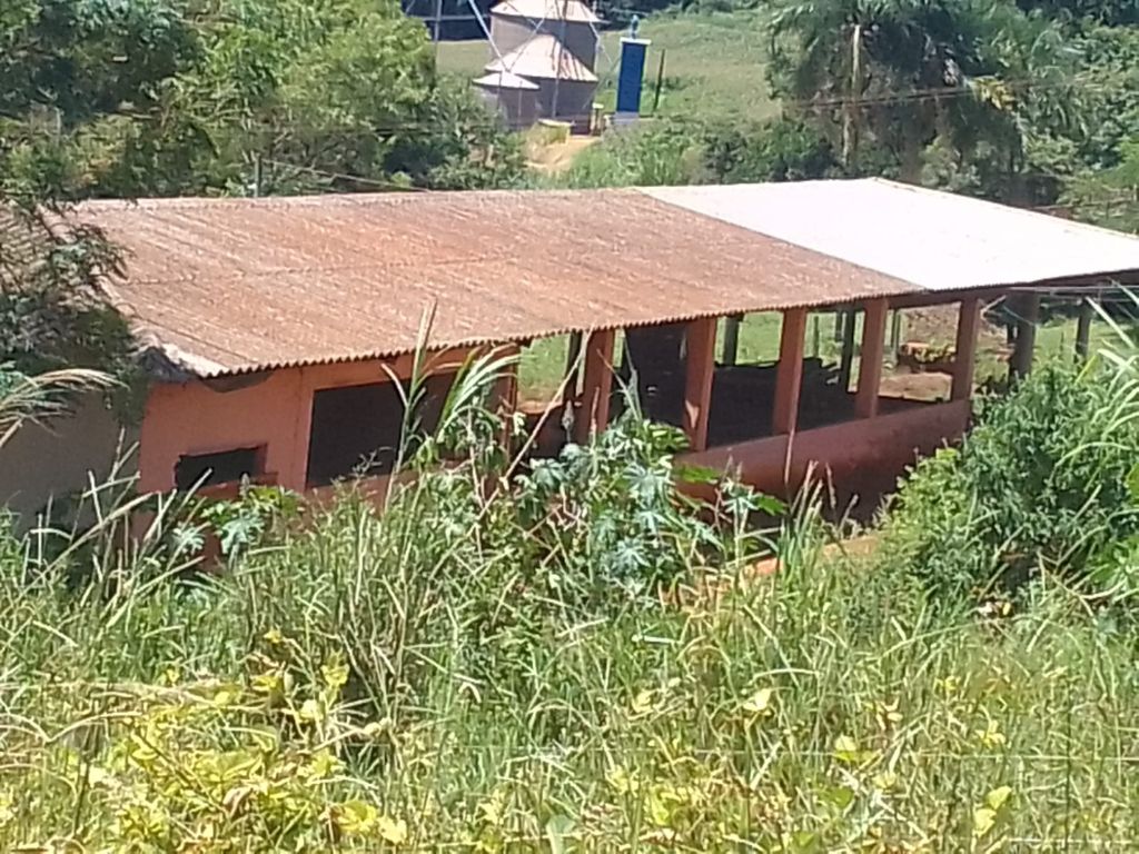 Sítio à Venda 13 Alqueires em São Carlos-SP - foto 23