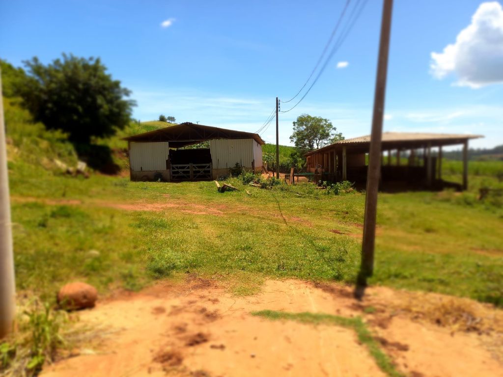 Sítio à Venda 13 Alqueires em São Carlos-SP - foto 25