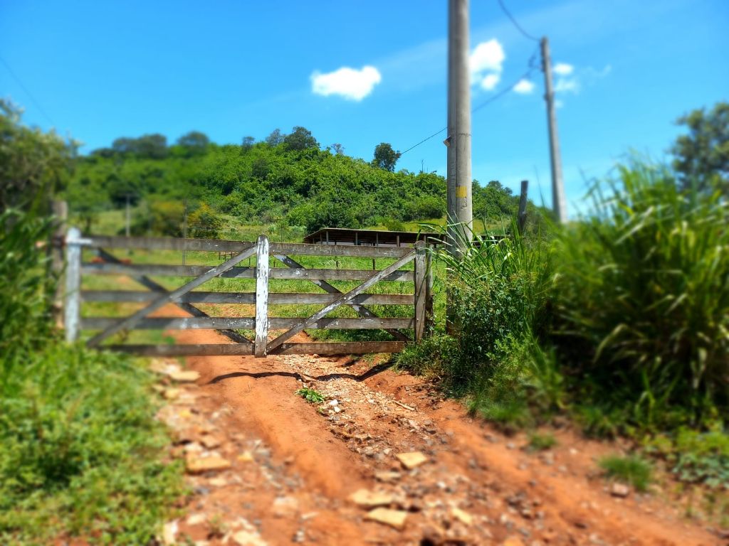 Sítio à Venda 13 Alqueires em São Carlos-SP - foto 28