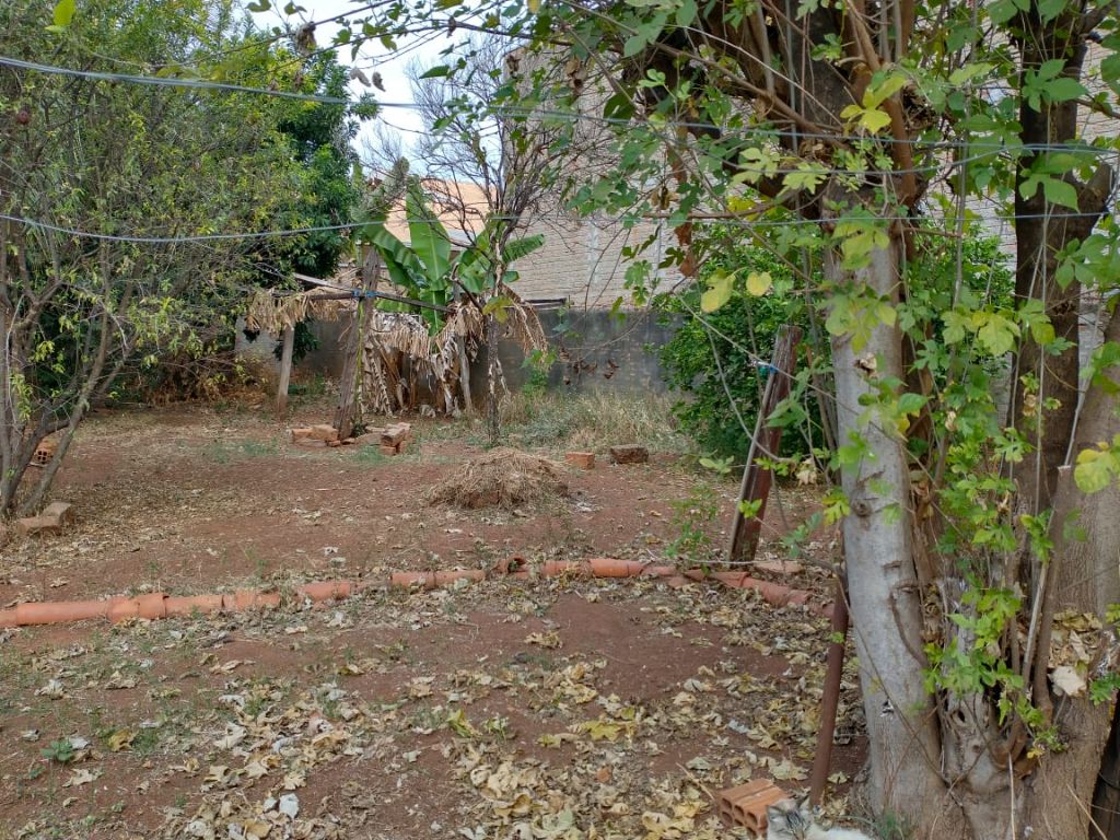 Venda de Casas / Padrão na cidade de Araraquara