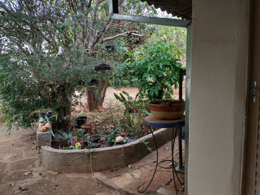 Venda de Casas / Padrão na cidade de Araraquara