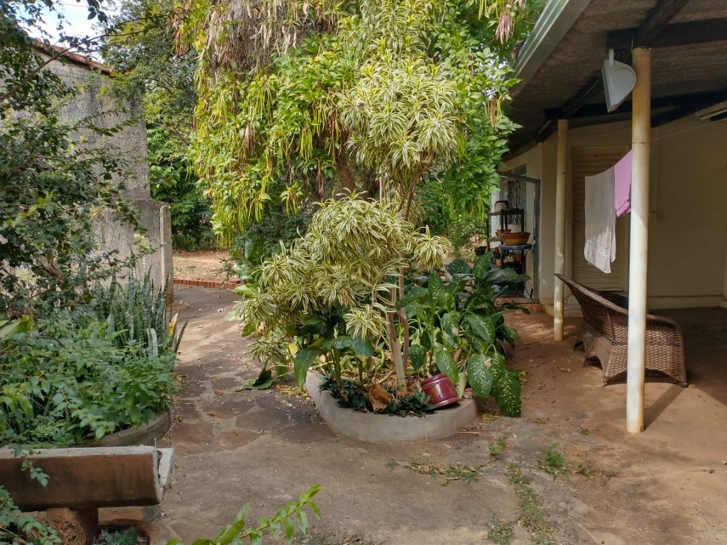 Venda de Casas / Padrão na cidade de Araraquara