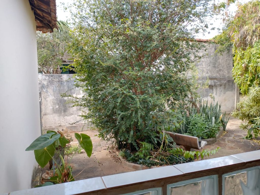 Venda de Casas / Padrão na cidade de Araraquara