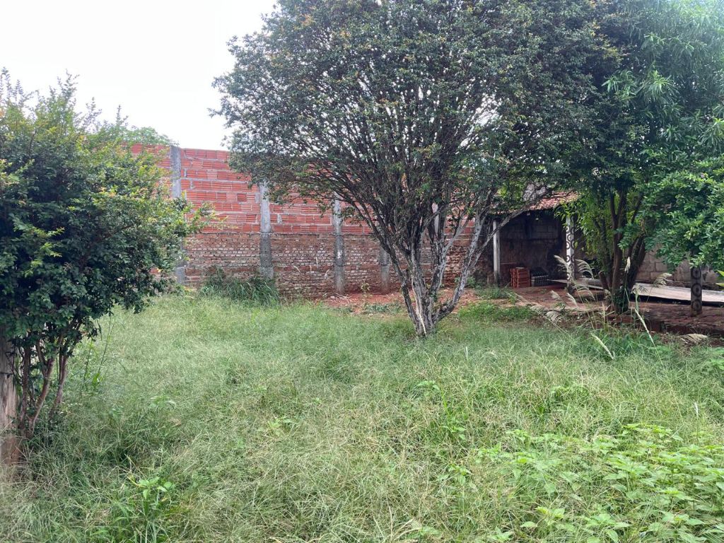 Venda de casas / padrão na cidade de araraquara