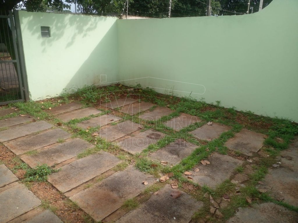 Locação de casas / padrão na cidade de araraquara